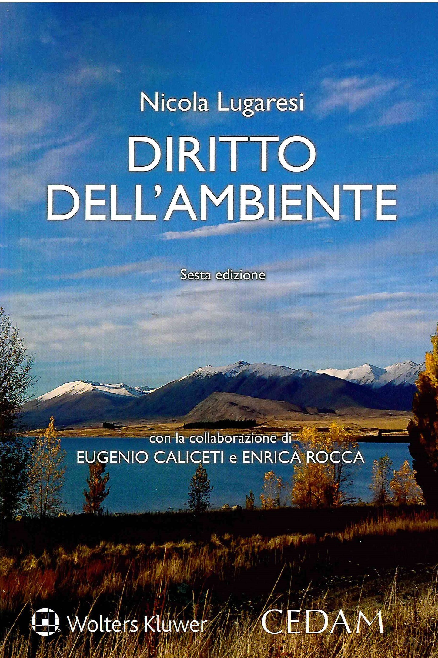 DIRITTO DELL'AMBIENTE 6ED. - LUGARESI