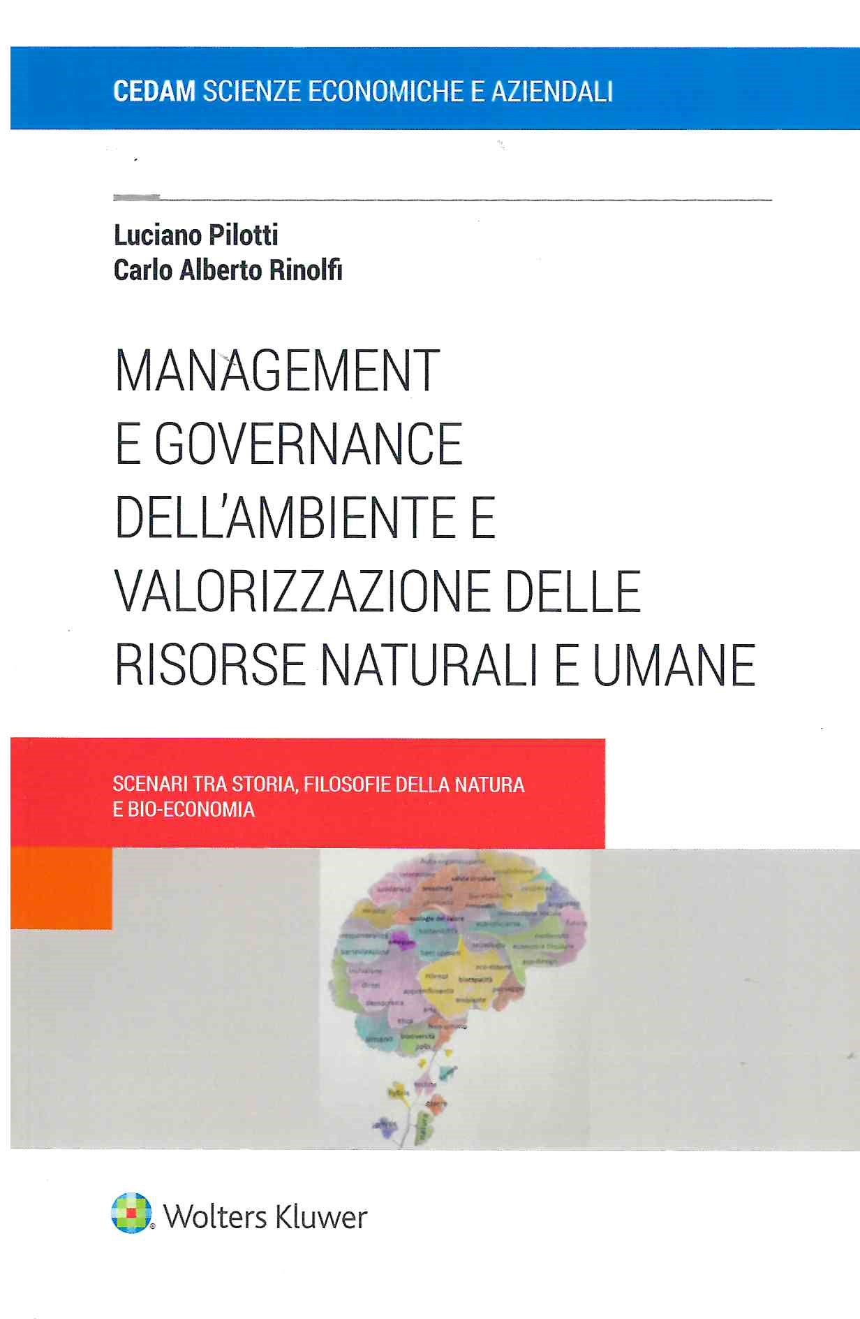 MANAGEMENT E GOVERNANCE AMBIENTE VOL.1 - PILOTTI RINOLFI