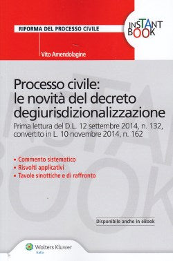 PROCESSO CIVILE NOVITA' DECRETO DEGIUR. - AMENDOLAGINE