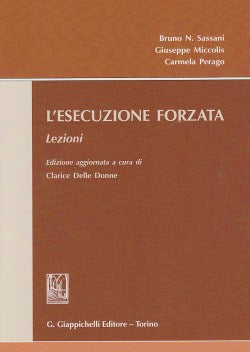 Esecuzione forzata lezioni - Sassani