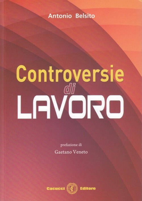 Controversie di lavoro. - Belsito Antonio