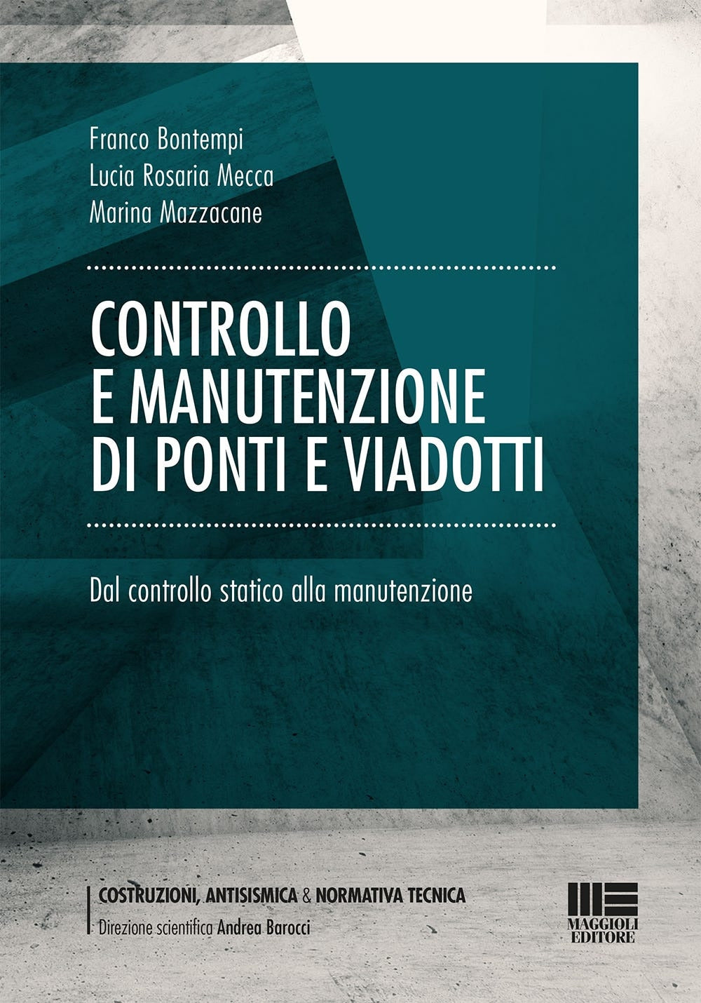 Controllo e manutenzione ponti viadotti - Bontempi Mecca