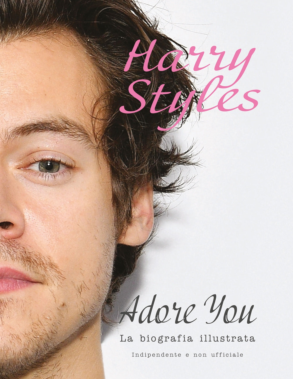 Harry styles adore you - McHugh