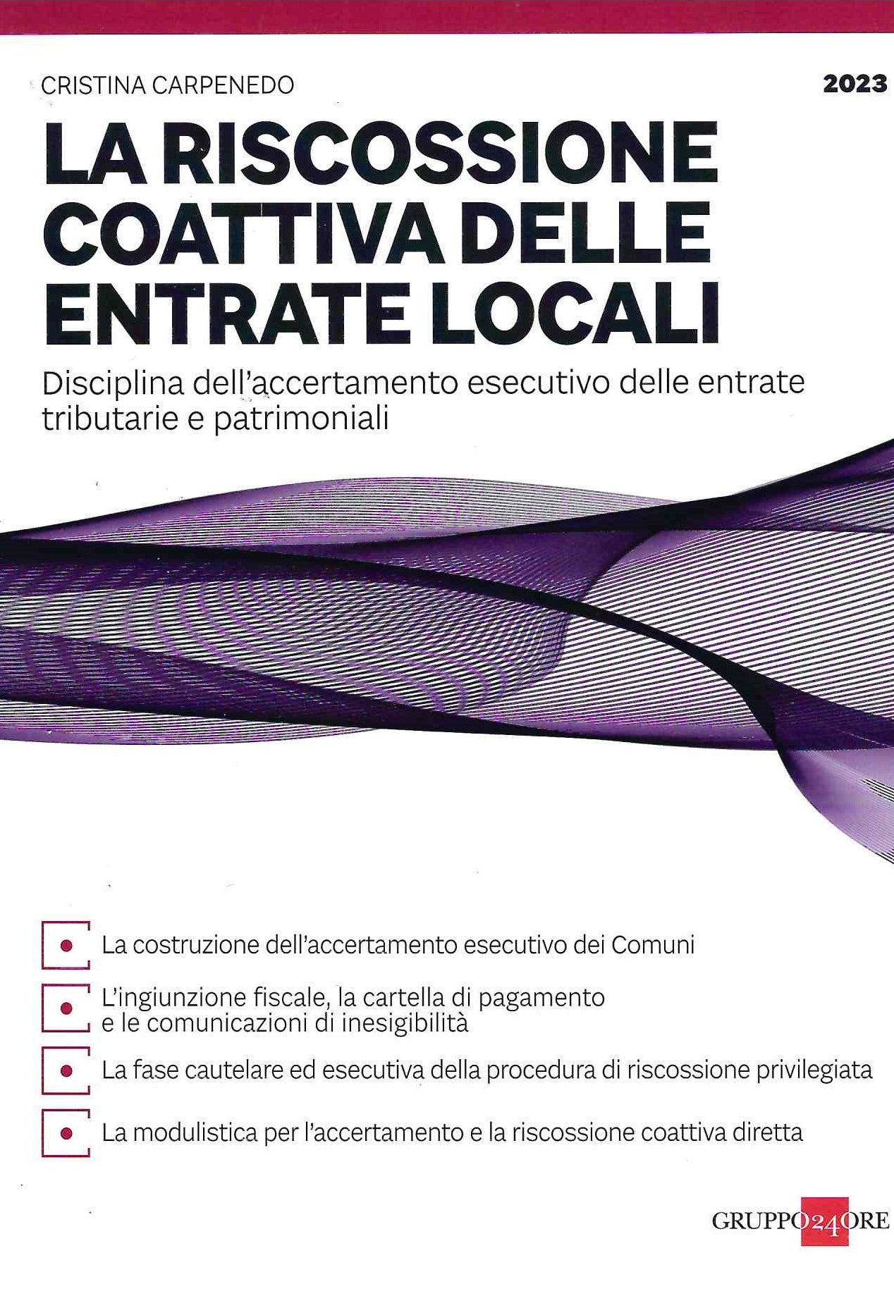 Riscossione coattiva dei tributi locali - Carpenedo