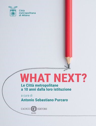 What Next? Le città metropolitane a 10 anni dalla loro istituzione - Purcaro