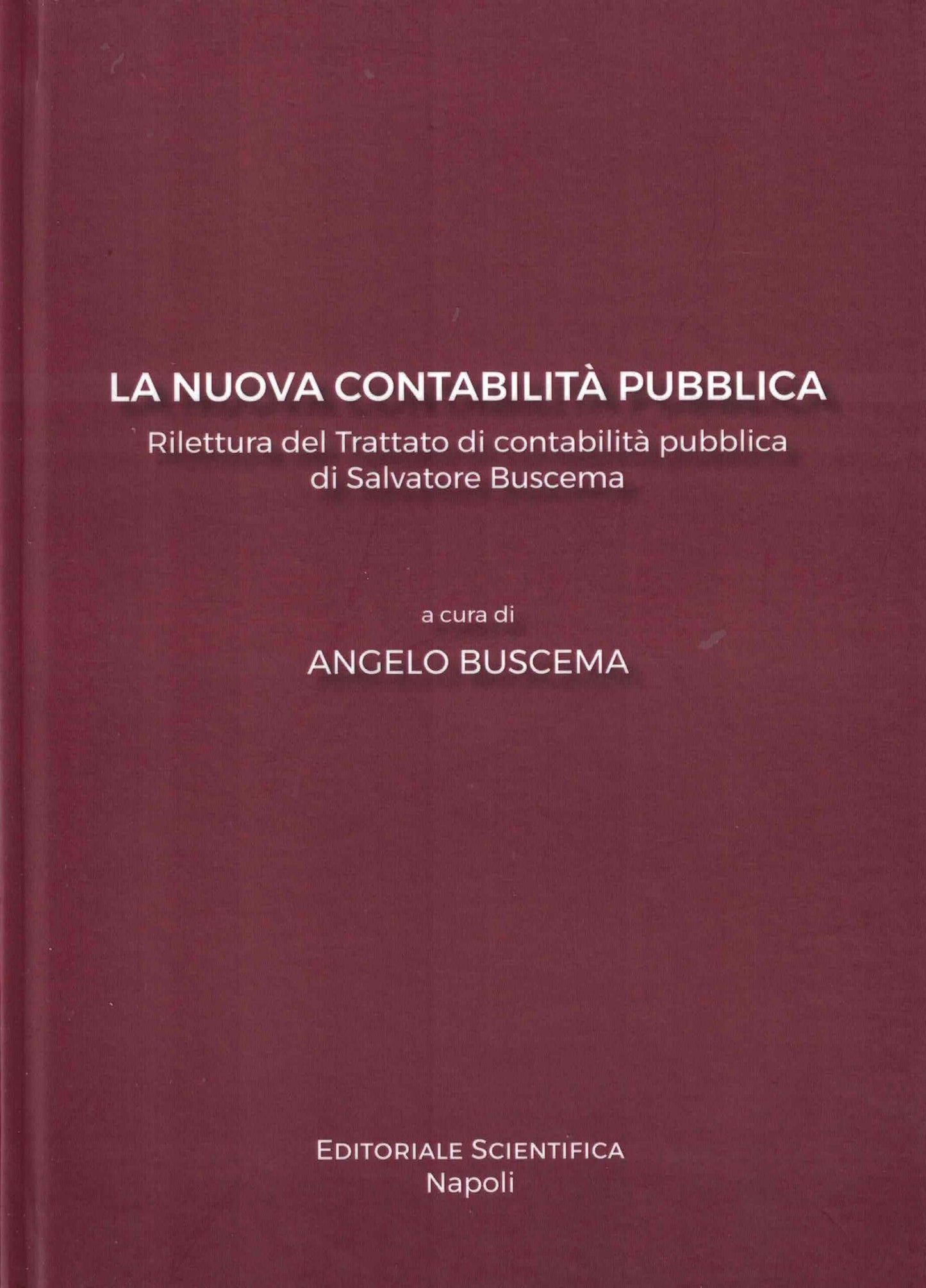 La nuova contabilità pubblica - Angelo Buscema