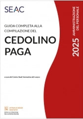 GUIDA COMPLETA ALLA COMPILAZIONE DEL CEDOLINO PAGA 2025