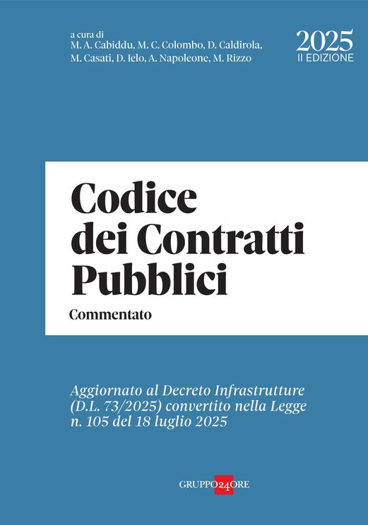 CODICE DEI CONTRATTI PUBBLICI 2025