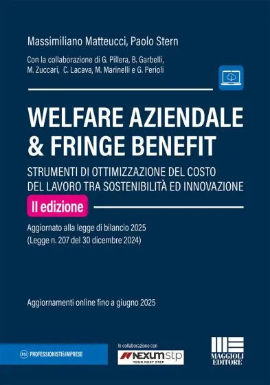 Welfare aziendale & Fringe benefit Strumenti di ottimizzazione del costo del lavoro tra sostenibilità ed innovazione (Aggiornato alla legge di bilancio 2025) - Matteucci, Stern