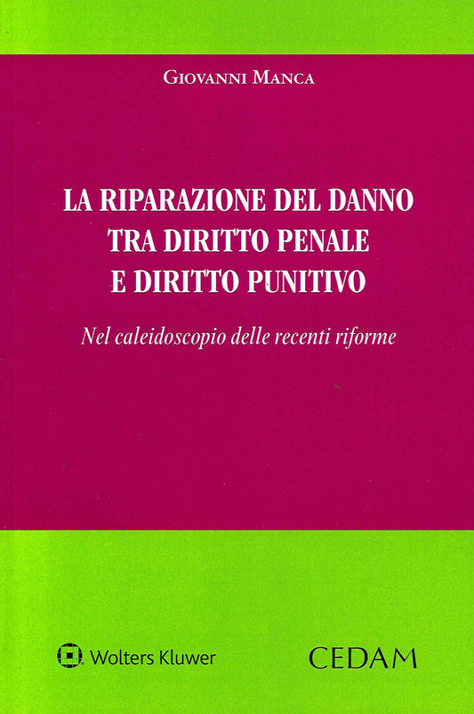 RIPARAZIONE DEL DANNO DIR.PENALE DIR.PUN - MANCA