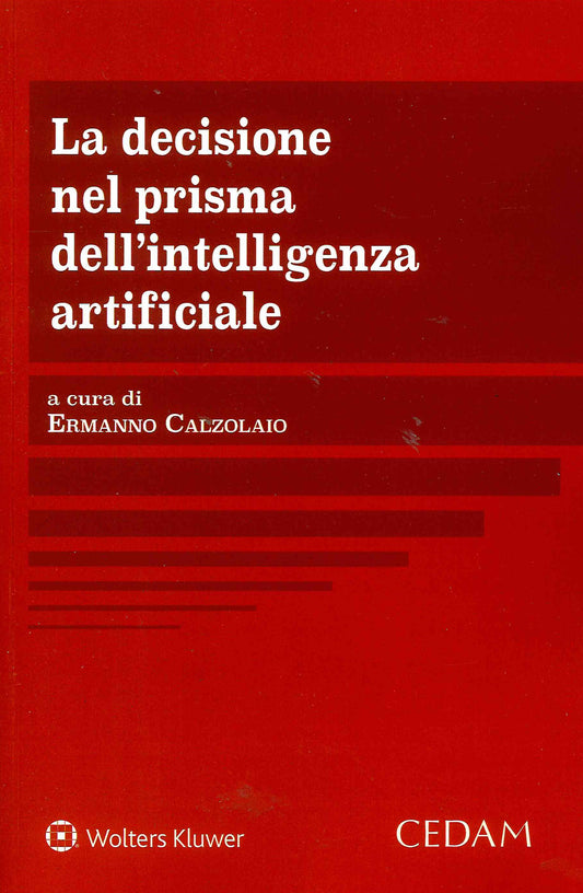 DECISIONE NEL PRISMA INTELLIGENZA ARTIF. - CALZOLAIO