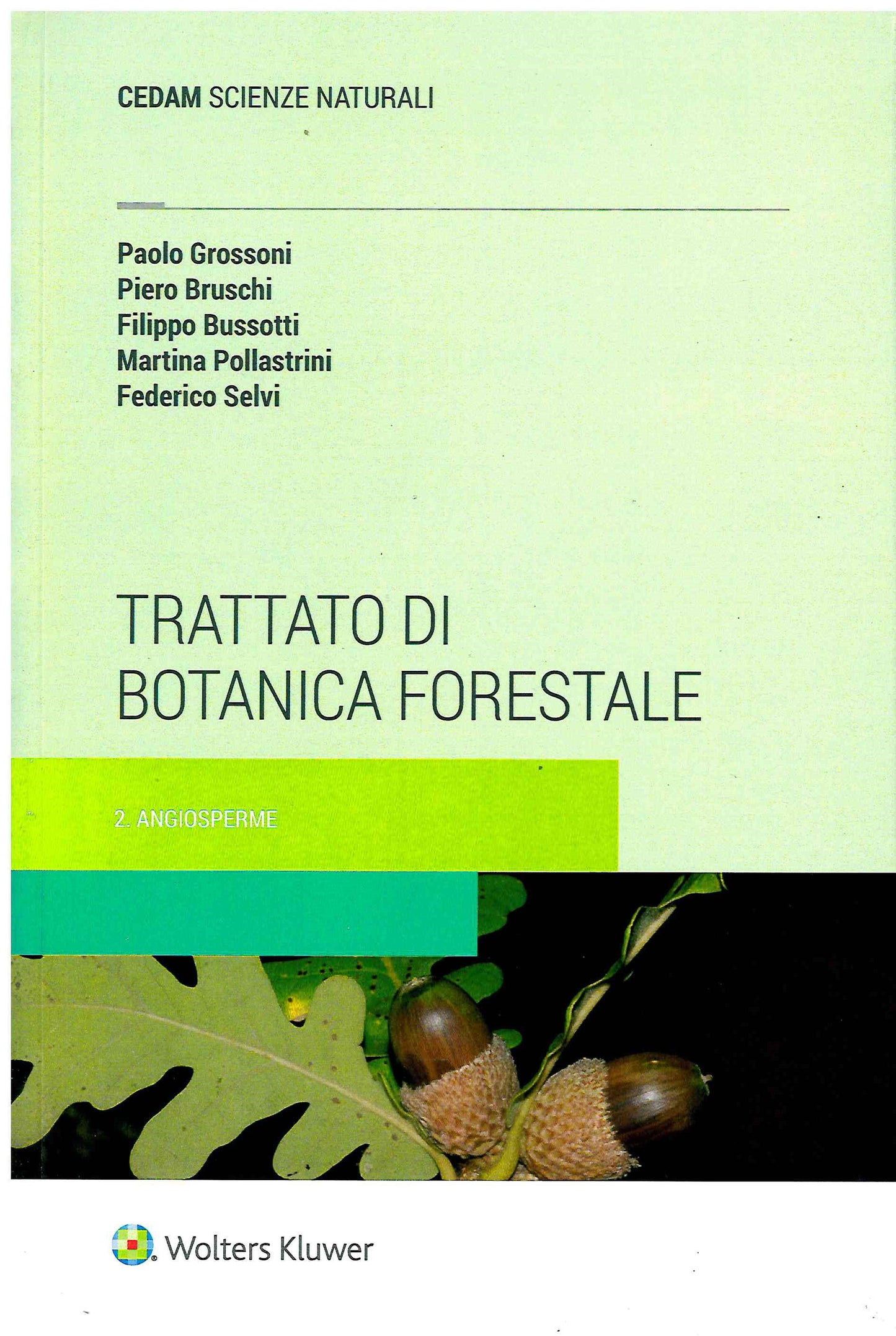 BOTANICA FORESTALE 2 ANGIOSPERME 3ED. - GROSSONI