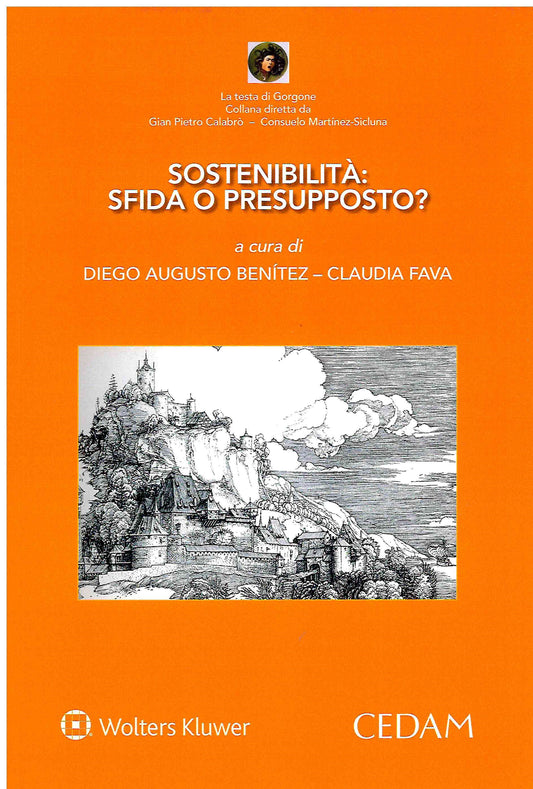 SOSTENIBILITA' SFIDA O PRESUPPOSTO - BENITEZ