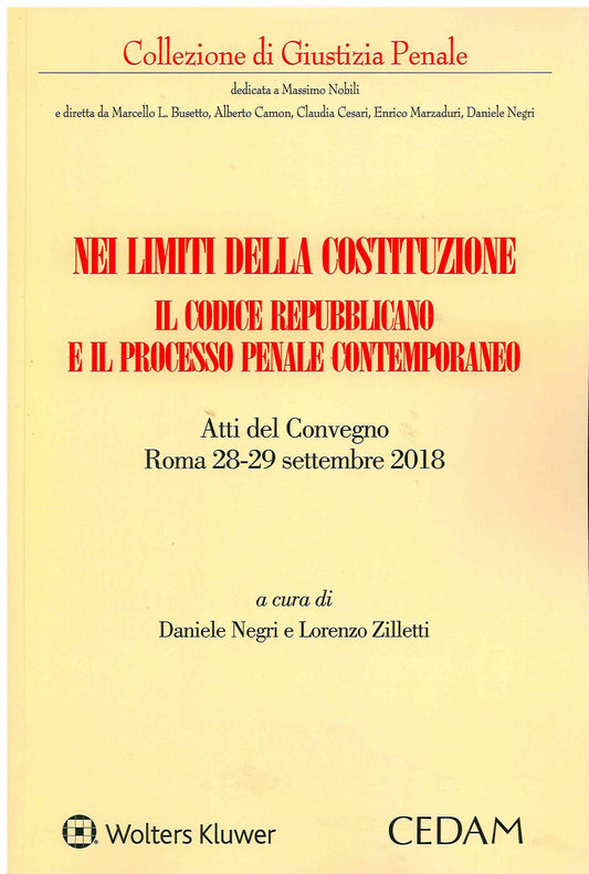 NEI LIMITI DELLA COSTITUZIONE - NEGRI