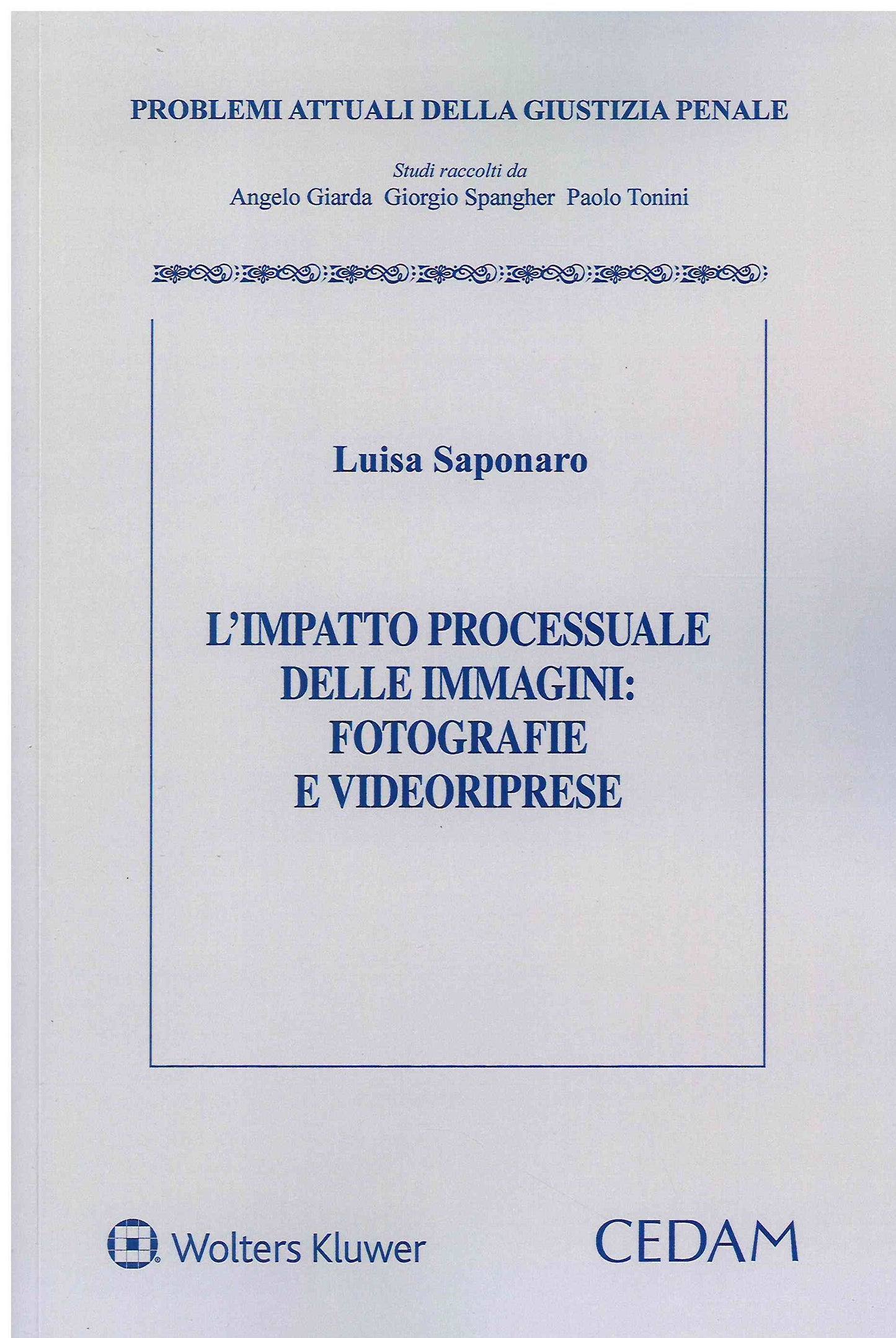 IMPATTO PROCESSUALE IMMAGINI FOTOGRAFIE - SAPONARO