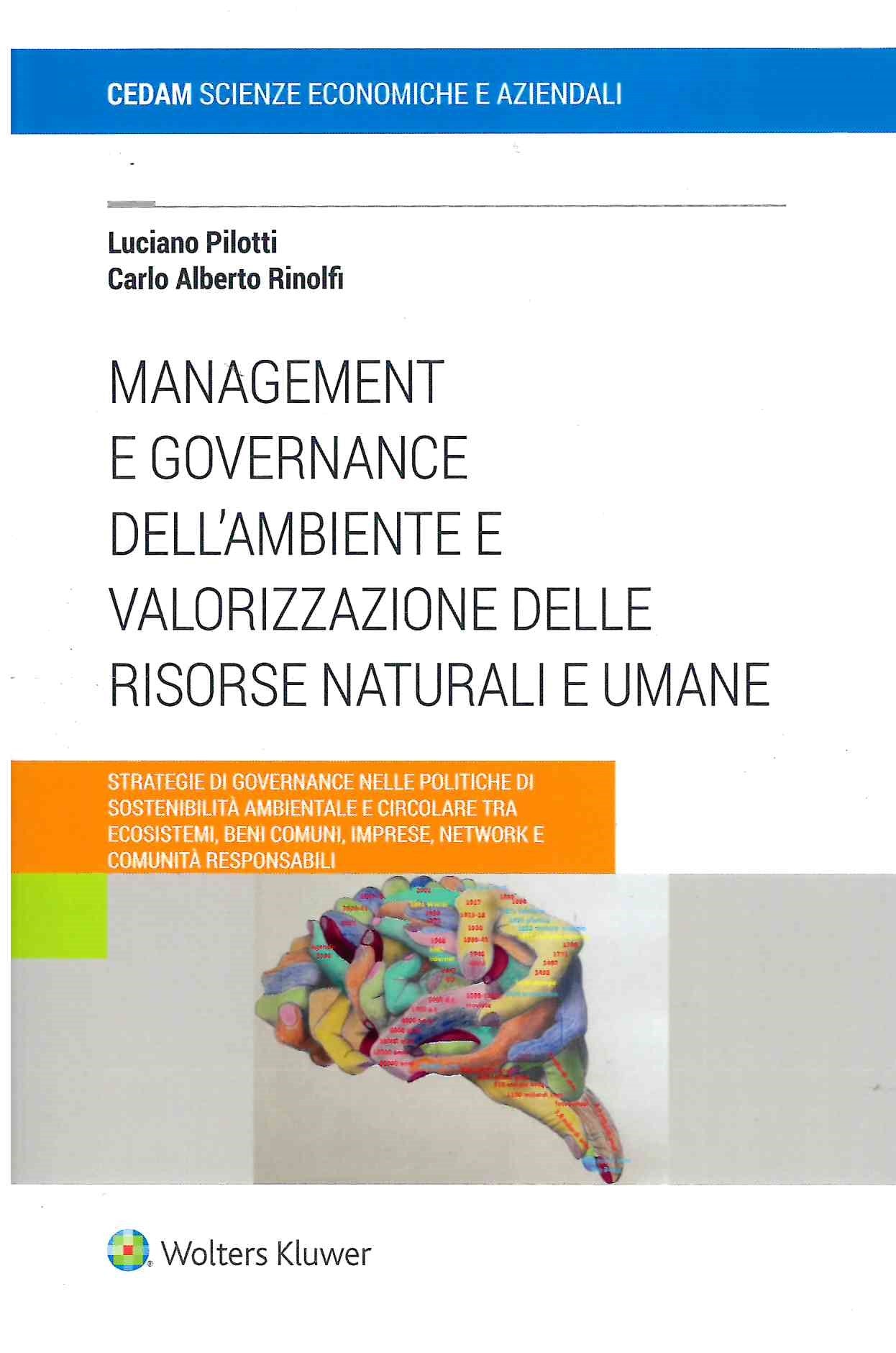 MANAGEMENT E GOVERNANCE AMBIENTE VOL.2 - PILOTTI RINOLFI