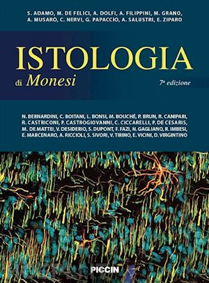 Istologia di Monesi - Adamo