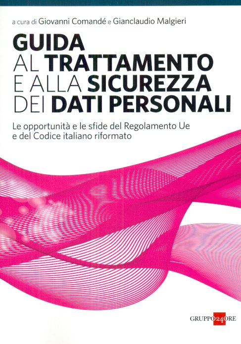 Guida trattamento dati personali 2019 - Comandè