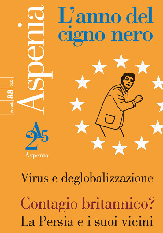 Aspenia 88 l'anno del cigno nero - AA.VV.