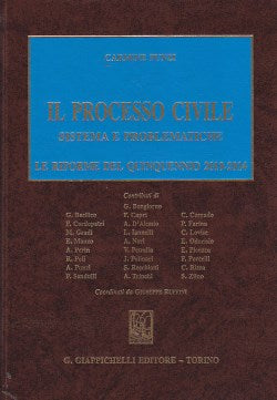 Processo civile riforme 2010-2014 - Punzi