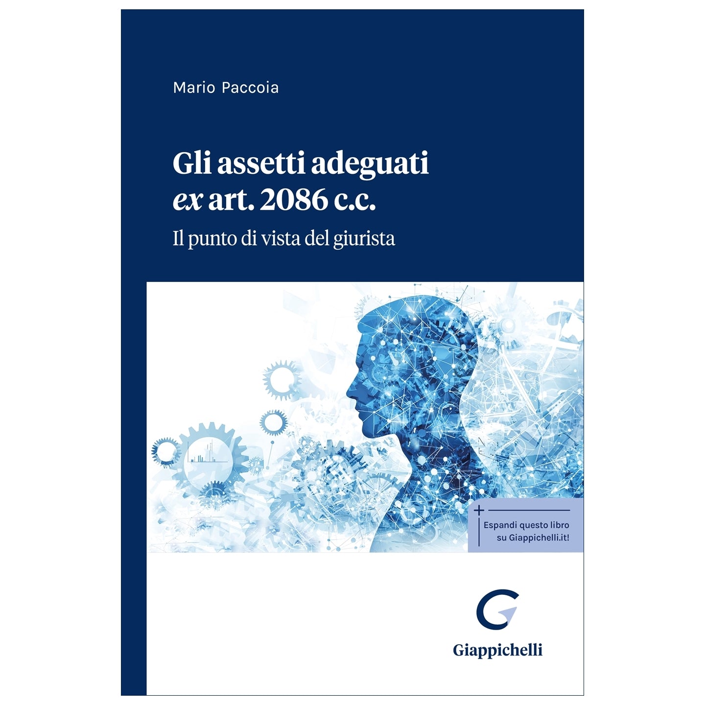 Gli assetti adeguati ex art. 2086 c.c. Il punto di vista del giurista - Paccoia Mario