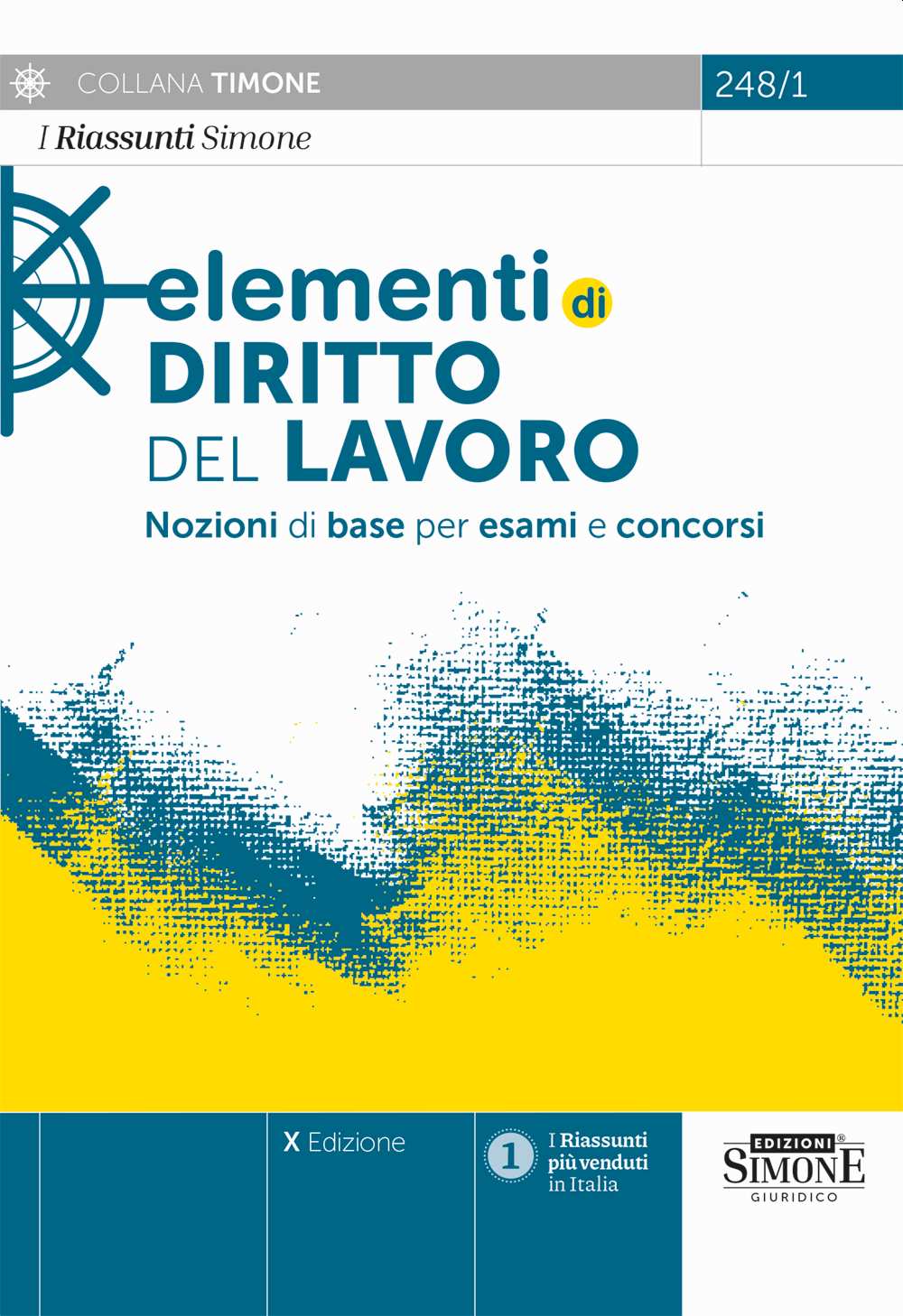 Elementi diritto del lavoro (10 ed.)