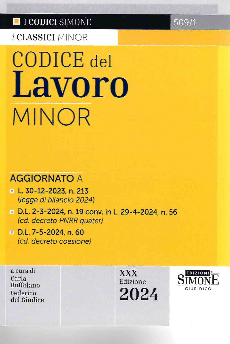 Codice del lavoro minor 2024 (30 ed.)