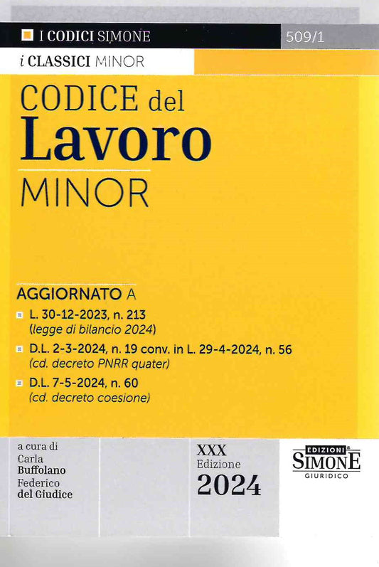 Codice del lavoro minor 2024 (30 ed.)