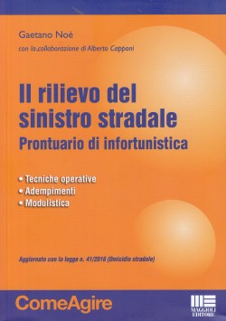 Rilievo sinistro stradale - Noè