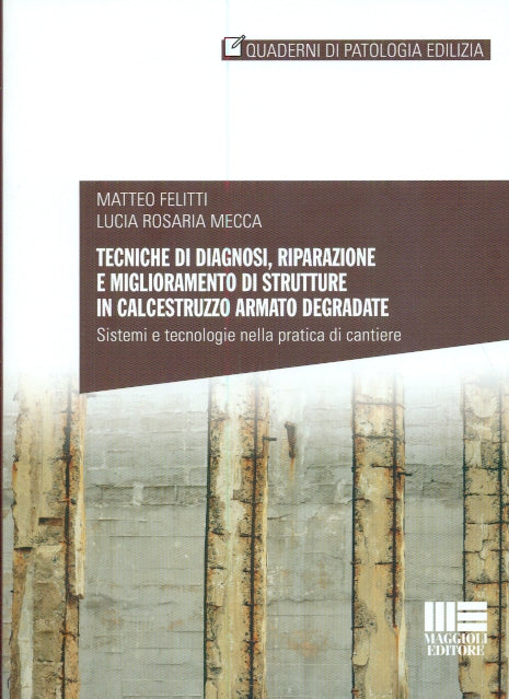 Tecniche diagnosi riparazione migl.strut - Felitti