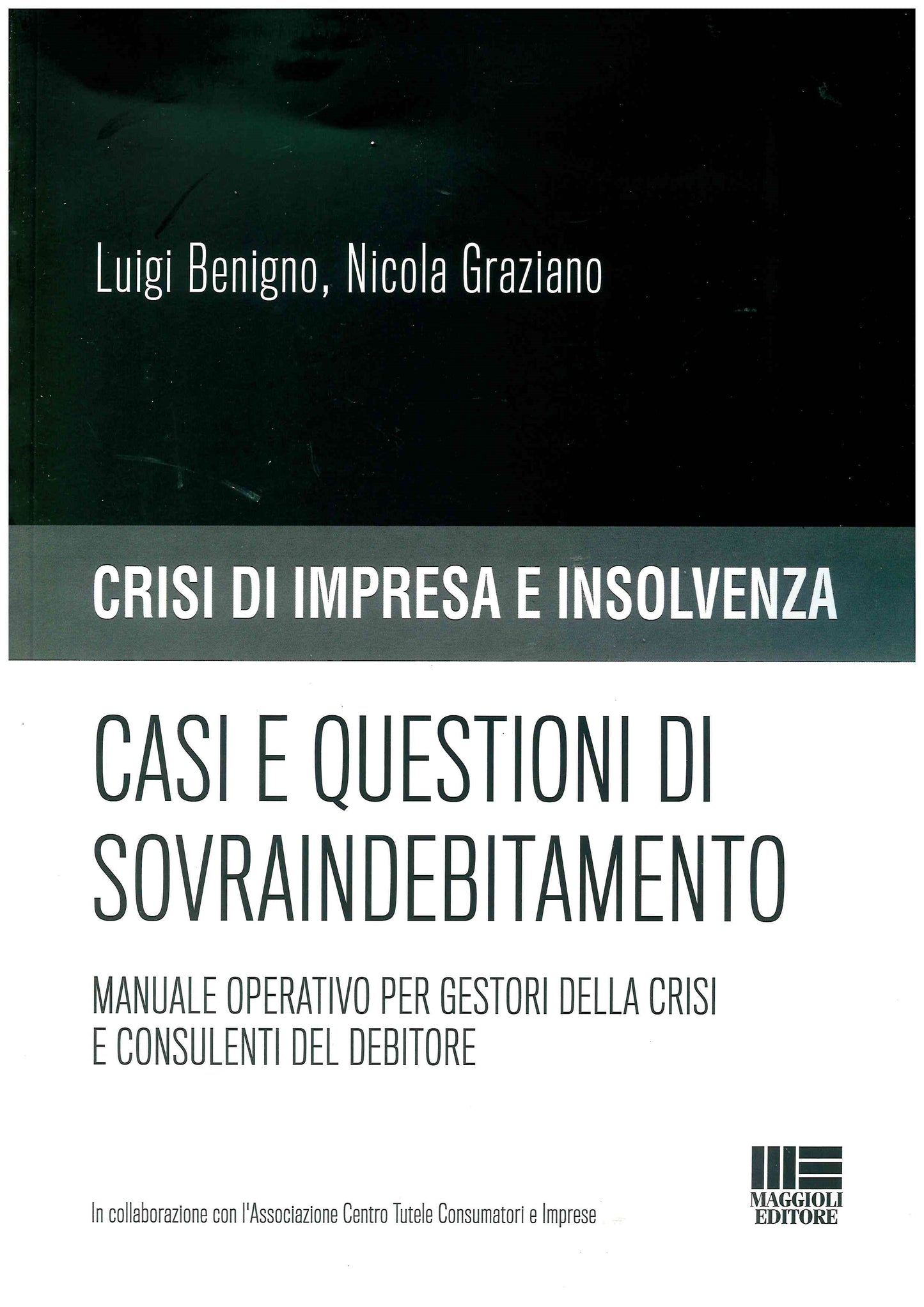 Casi e questioni di sovraindebitamento. Manuale operativo per gestori della crisi e consulenti del debitorio - Benigno