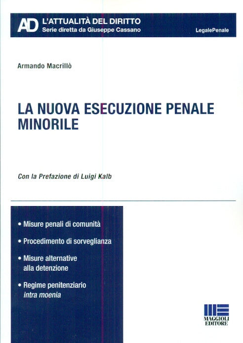 Nuova esecuzione penale minorile - Macrillò