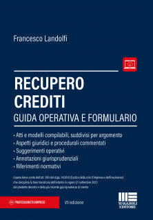 Formulario recupero crediti 7ed. - Landolfi