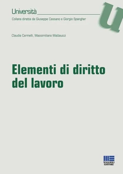 Elementi diritto del lavoro - Cermelli Matteucci