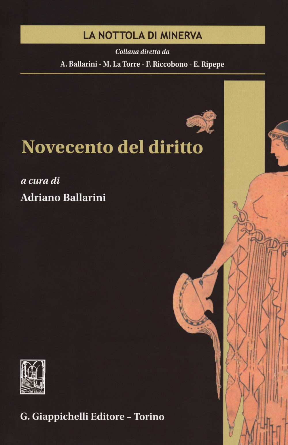 Novecento del diritto - Ballarini