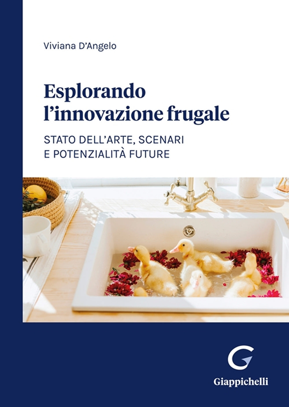 Esplorando innovazione frugale - D'Angelo