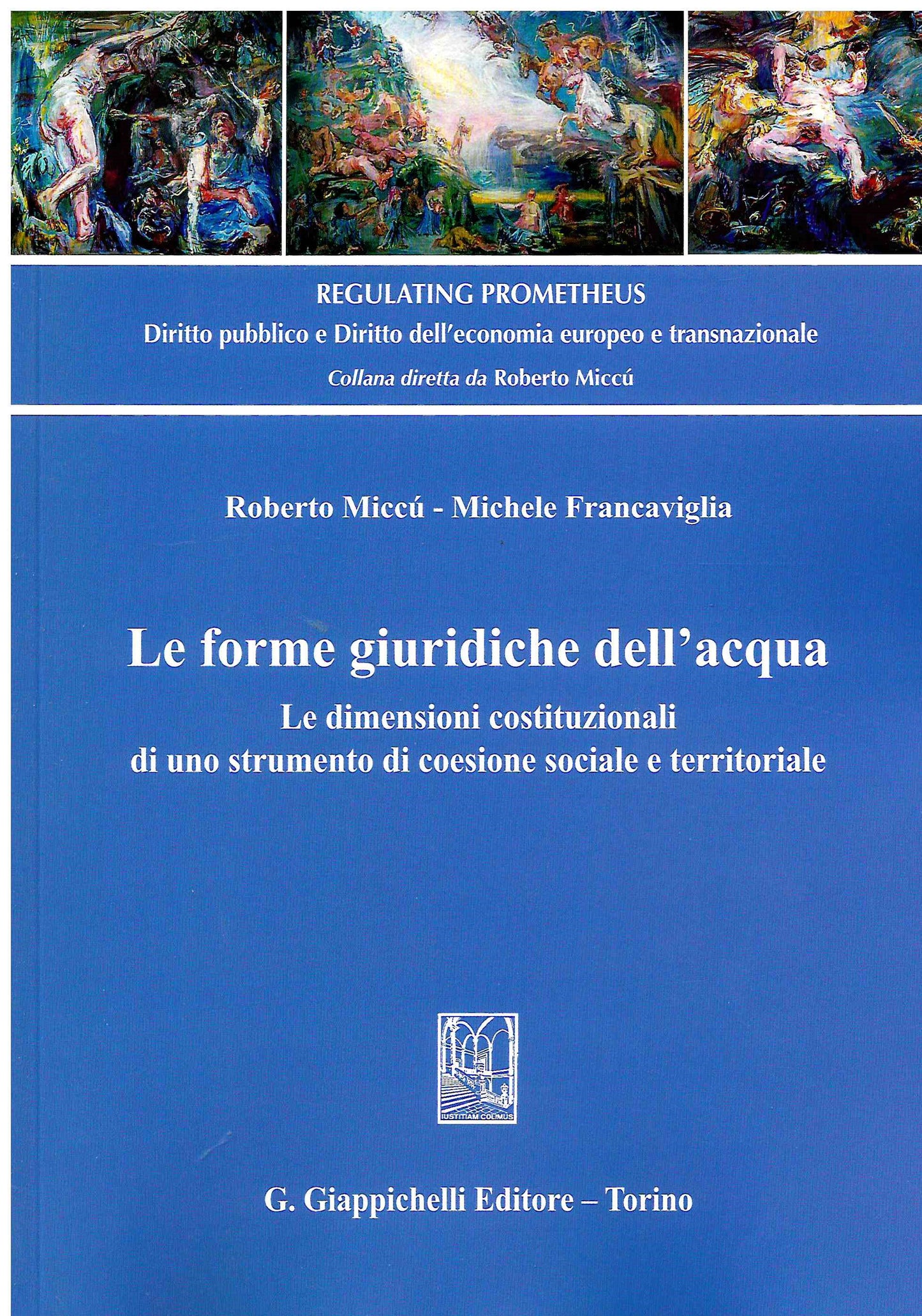 Forme giuridiche acqua - Miccù
