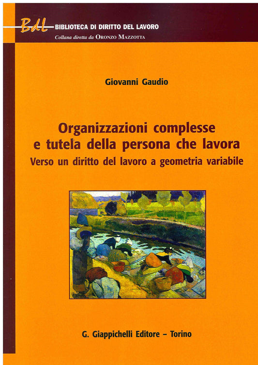 Organizzazioni complesse tutela persona - Gaudio