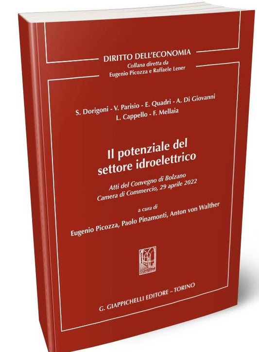 Potenziale settore idroelettrico - Picozza