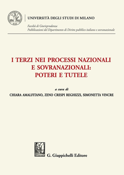 Terzi nei processi nazionali - Amalfitano