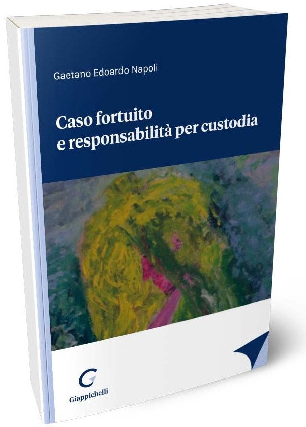 Caso fortuito e responsabilita' custodia - Napoli