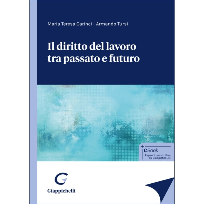 Il diritto del lavoro tra passato e futuro - Carinci Maria Teresa, Tursi Armando