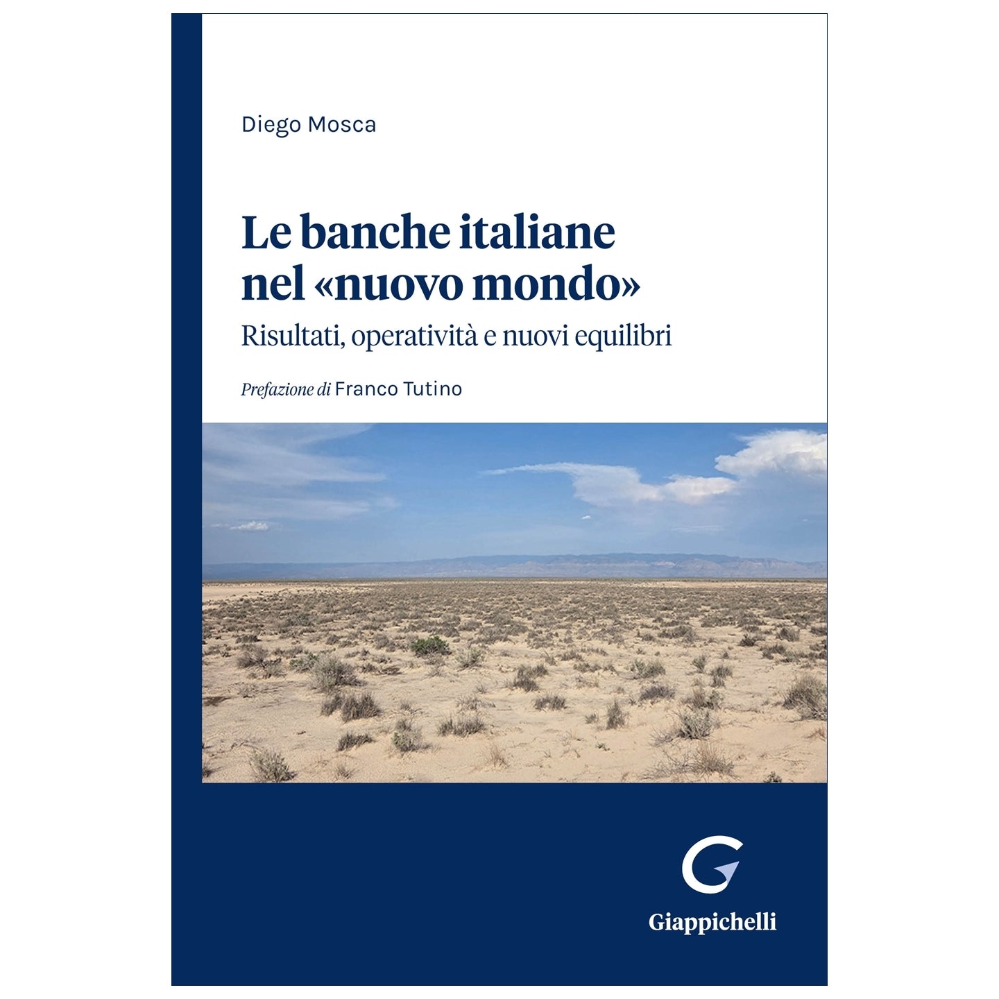 Le banche italiane nel «nuovo mondo» Risultati, operatività e nuovi equilibri - Mosca Diego