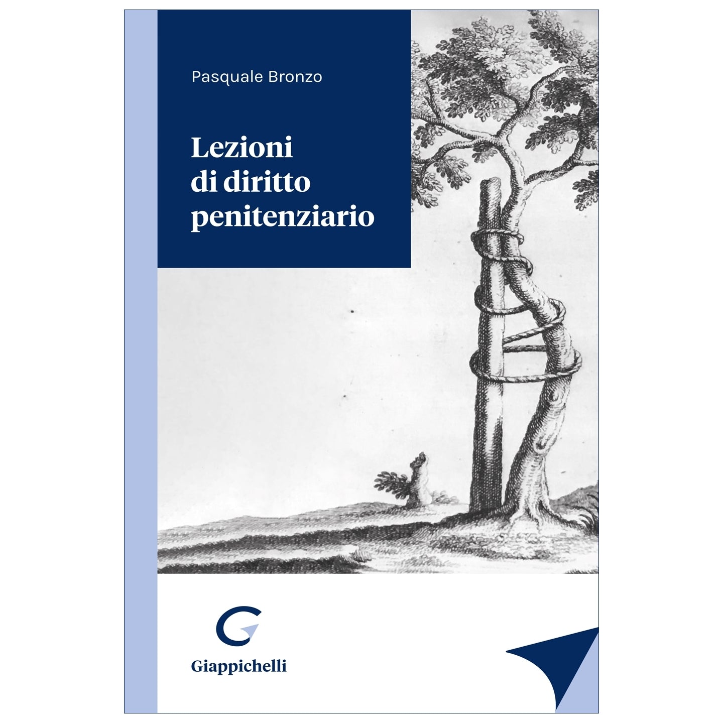 Lezioni di diritto penitenziario - Bronzo Pasquale