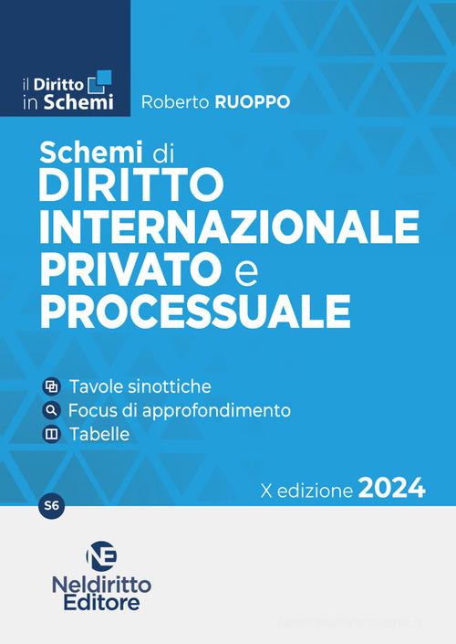 Schemi diritto internazionale privato e processuale 2024 - Ruoppo