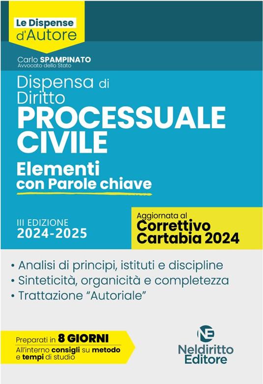 Dispensa di Procedura Civile. Aggiornata al Decreto Correttivo Cartabia D.Lgs. 31 ottobre 2024, n. 164 - C. Spampinato