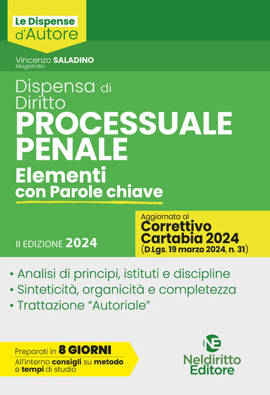 Dispensa diritto processuale penale (Aggiornato al Decreto Correttivo della Riforma Cartabia) 2024 - Saladino