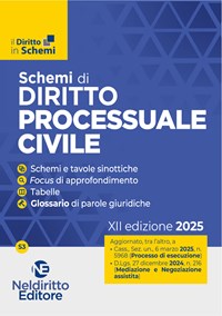 Schemi di Procedura civile 2025. II edizione aggiornata al I e al II Correttivo Cartabia. Maggio 2025