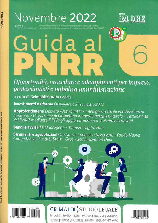Guida al pnrr 6