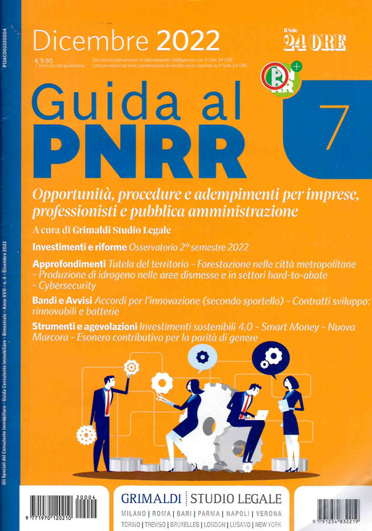 Guida al pnrr 7